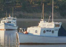 Western Port - South Australia Travel 0