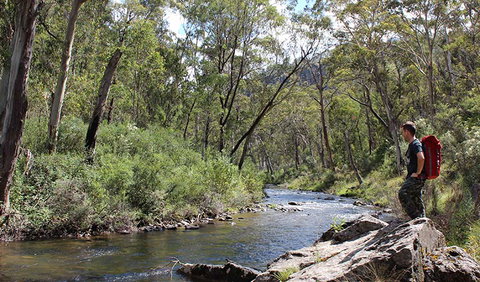 Yarrangobilly Caves - South Australia Travel 1