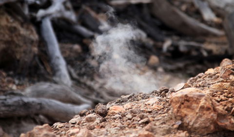 Burning Mountain Nature Reserve - South Australia Travel 1