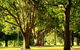 Queens Park, Toowoomba - thumb 1