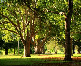 Queens Park, Toowoomba - South Australia Travel 1