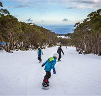 Mt Baw Baw Alpine Resort - South Australia Travel