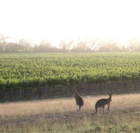 Small Forest Wine - South Australia Travel