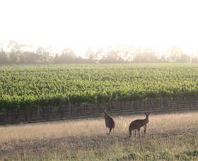 Small Forest Wine - South Australia Travel 0