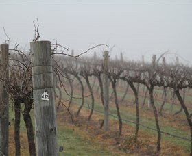Small Forest Wine - South Australia Travel 1