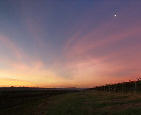 Small Forest Wine - South Australia Travel 2