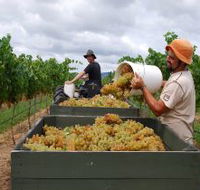 Golden Grove Estate - South Australia Travel