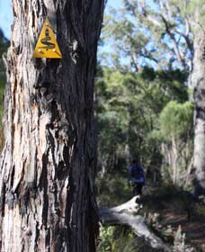 Mount Dale Walk Trail - South Australia Travel 1