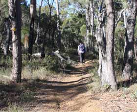 Mount Dale Walk Trail - South Australia Travel 2