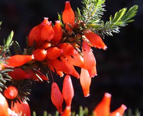 Mount Dale Walk Trail - South Australia Travel 3