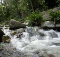 Washpool National Park - South Australia Travel