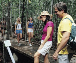 Toowoomba Water Bird Habitat - South Australia Travel 1