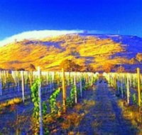 Surveyors Hill Winery - South Australia Travel