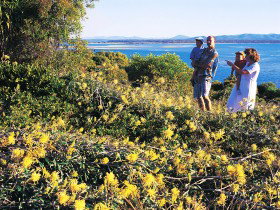 Joseph Banks Conservation Park - South Australia Travel 0