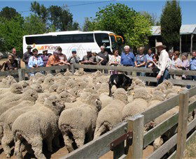 Monkerai ACT South Australia Travel