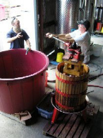 Pyramids Road Wines - South Australia Travel 2
