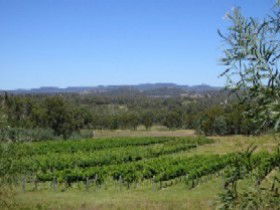 Pyramids Road Wines - South Australia Travel 3