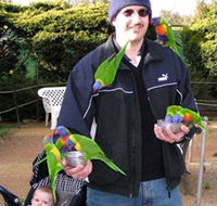 Canberra Walk In Aviary - South Australia Travel