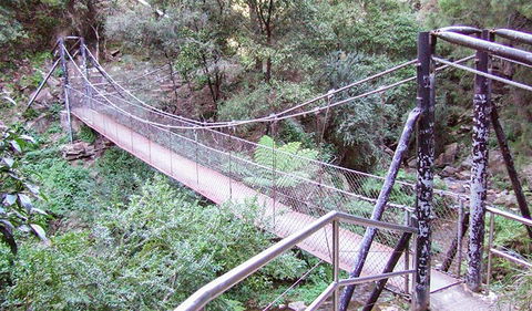 Jenolan River Walking Track - South Australia Travel 0