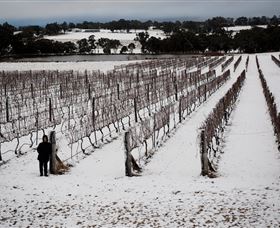 Savina Lane Premum Wines - South Australia Travel 2
