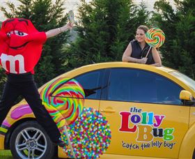 The Lolly Bug - South Australia Travel 0