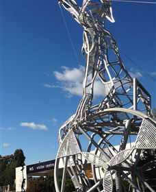 Australian Institute Of Sport (AIS) - South Australia Travel 0