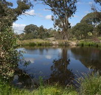 Cooleman Ridge - South Australia Travel
