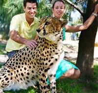 National Zoo  Aquarium - South Australia Travel
