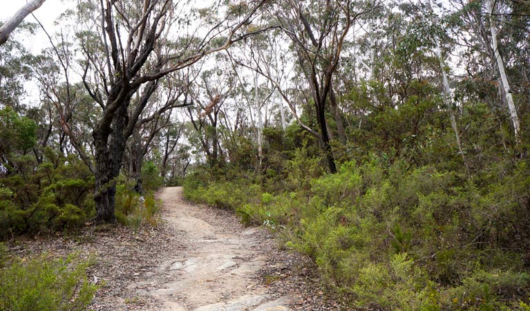 Ganbenang NSW South Australia Travel