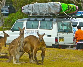Surfaris Surf Camp - South Australia Travel 3