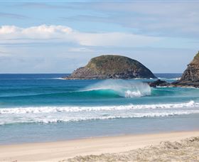 Surfaris Surf Camp - South Australia Travel 4