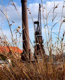 Click Walk Learn Photography Tours - South Australia Travel 2