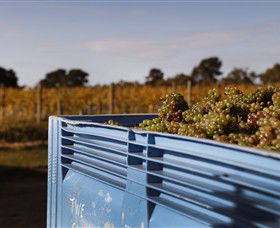 Quealy Winemakers - South Australia Travel 3