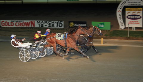 Bathurst Harness Racing Club - South Australia Travel 3