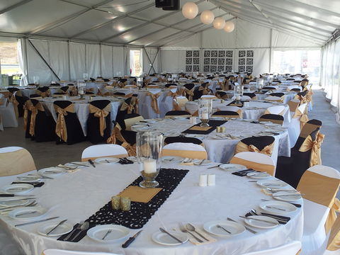 Bathurst Harness Racing Club - South Australia Travel 5
