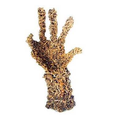 Coo-ee Aboriginal Art Gallery - South Australia Travel 0