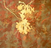 Fellia Melas Gallery - South Australia Travel