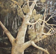 Ku-Ring-Gai Art Centre  Gallery - South Australia Travel