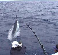 Amokura Charters - South Australia Travel
