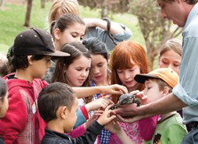 Blackbutt Reserve - South Australia Travel 2