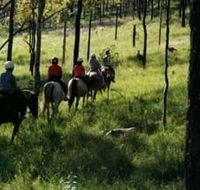 Hunter Valley Horse Riding and Adventures - South Australia Travel