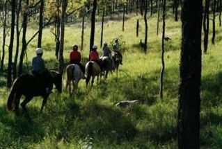 Hunter Valley Horse Riding And Adventures - South Australia Travel 0