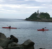 Newcastle Kayak Tours - South Australia Travel