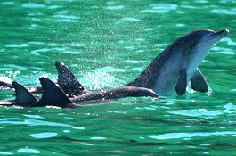 Sydney Weekend Adventures - South Australia Travel 1