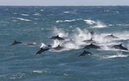  South Australia Travel