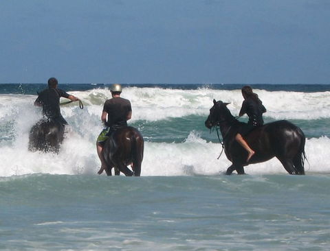 Pegasus Park Equestrian Centre - South Australia Travel 0
