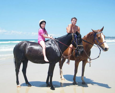 Pegasus Park Equestrian Centre - South Australia Travel 1