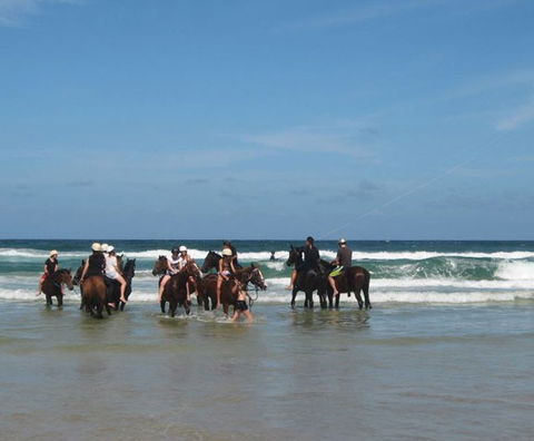Pegasus Park Equestrian Centre - South Australia Travel 2