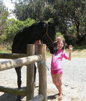 Pegasus Park Equestrian Centre - South Australia Travel 3