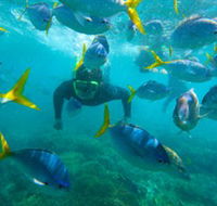 G Adventures - South Australia Travel